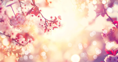鹊桥仙七夕古诗介绍